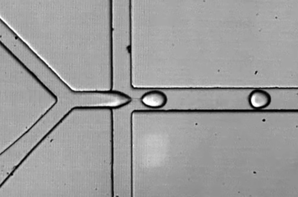 photo of microfluidic channel